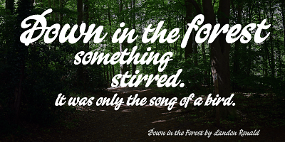 Falcon Script Font Family by Alan Meeks