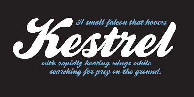 Kestrel Script Font Family designed by Alan Meeks