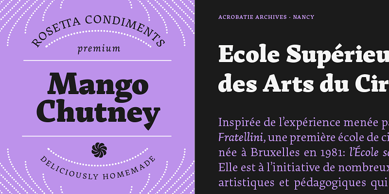 Arek Latin Font Family - Designed by Khajag Apelian from Rosetta Type Foundry